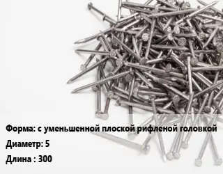 Гвоздь с уменьшенной плоской рифленой головкой 5х300 белый цинк